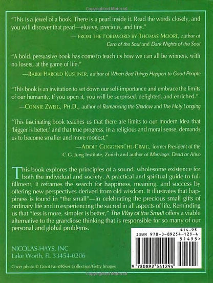 Way of the Small: Why Less Is More (Jung on the Hudson Books