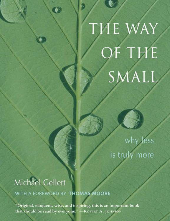 Way of the Small: Why Less Is More (Jung on the Hudson Books
