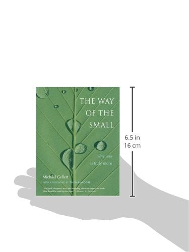 Way of the Small: Why Less Is More (Jung on the Hudson Books