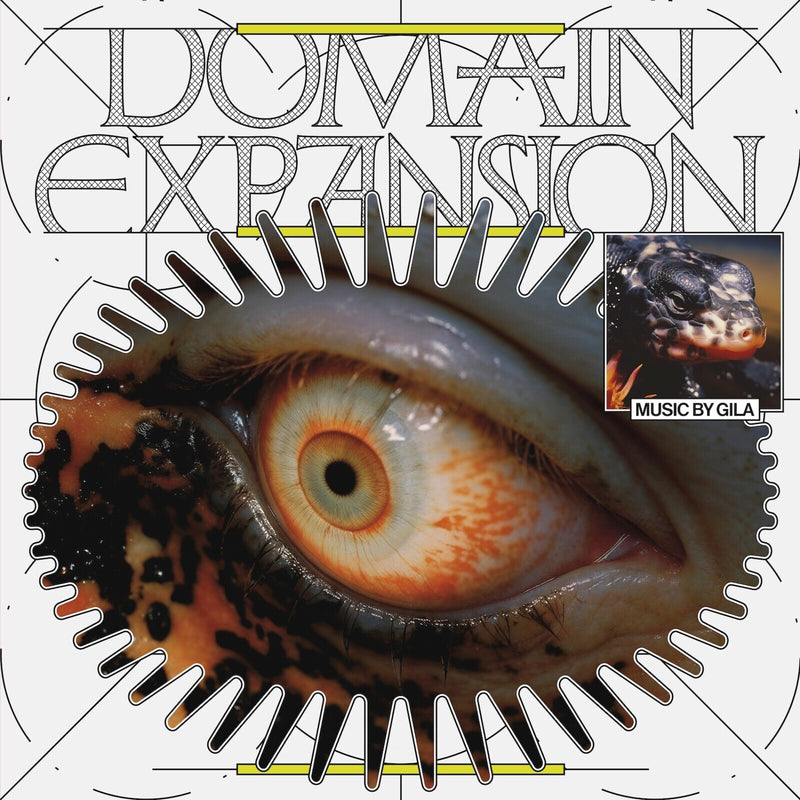 Domain Expansion