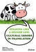Speaking like a Spanish Cow: Cultural Errors in Translation