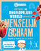 Rebo Publishers - Feit & Fun - Menselijk Lichaam