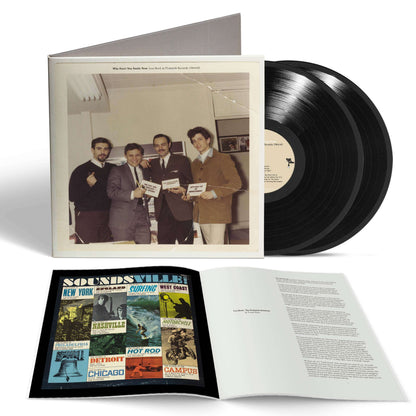 Why Don't You Smile Now: Lou Reed at Pickwick Records 1964-1965
