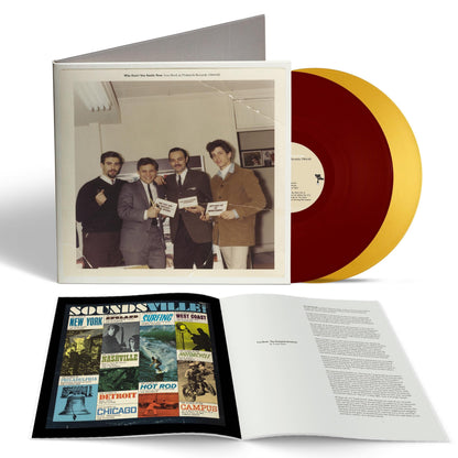 Why Don't You Smile Now: Lou Reed at Pickwick Records 1964-1965