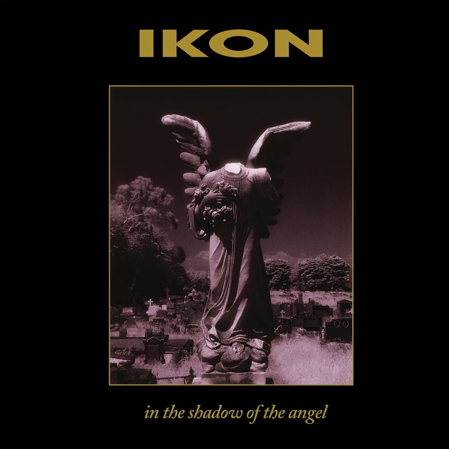 In the Shadow of the Angel