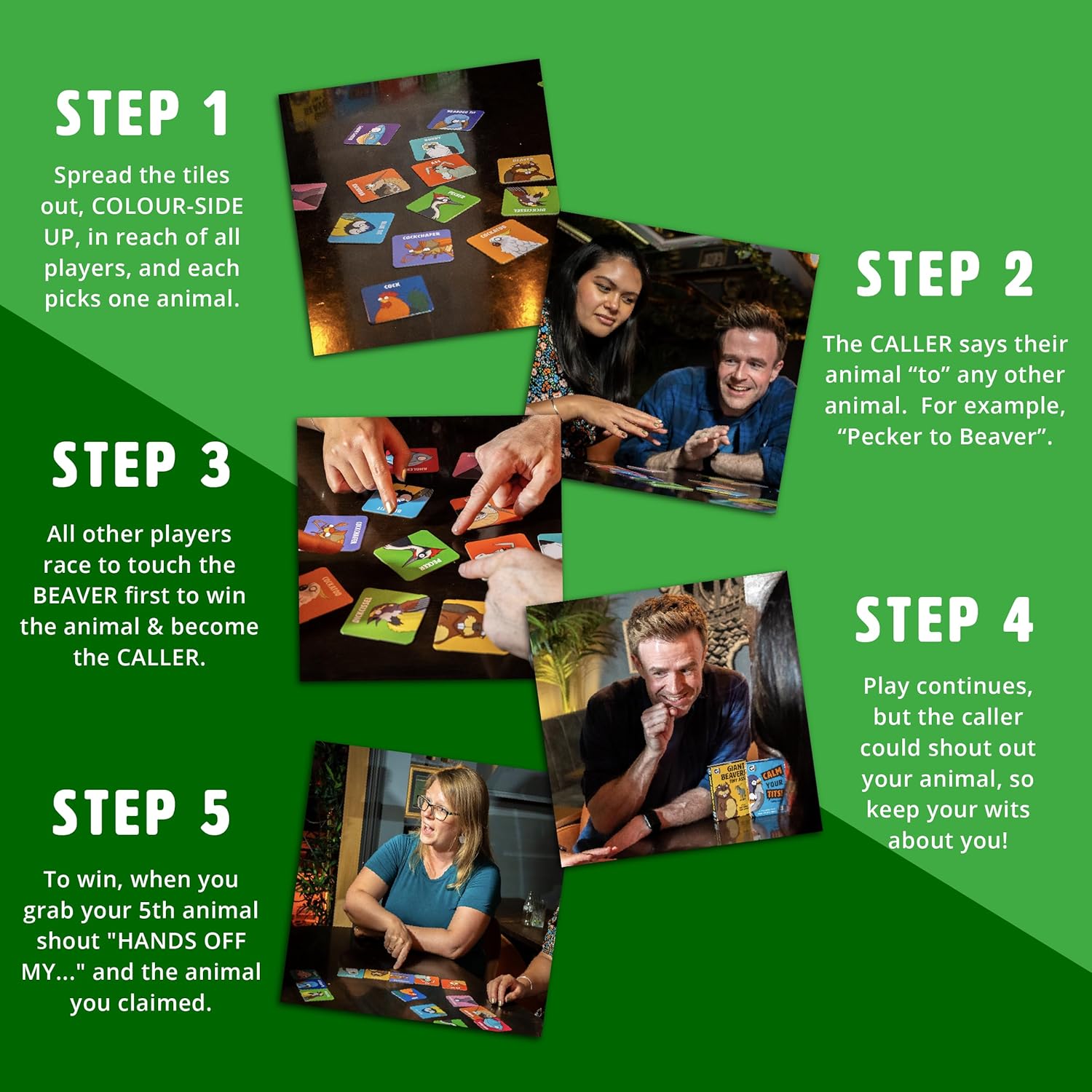 Ginger Fox Hands Off My Woodpecker Party Card Game For Grown Ups | Fast-Paced Animal-Themed Reaction Game for 3-6 Players | Hilarious Competitive Silly Fun