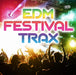 EDM Festival Trax