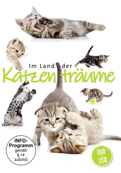 Im Land der Katzenträume