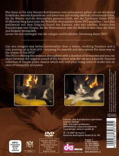 Katze am Kamin