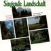 SINGENDE LANDSCHAFT