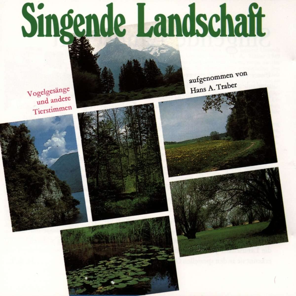 SINGENDE LANDSCHAFT