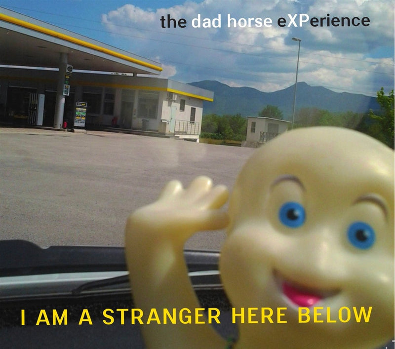 I AM A STRANGER HERE BELOW