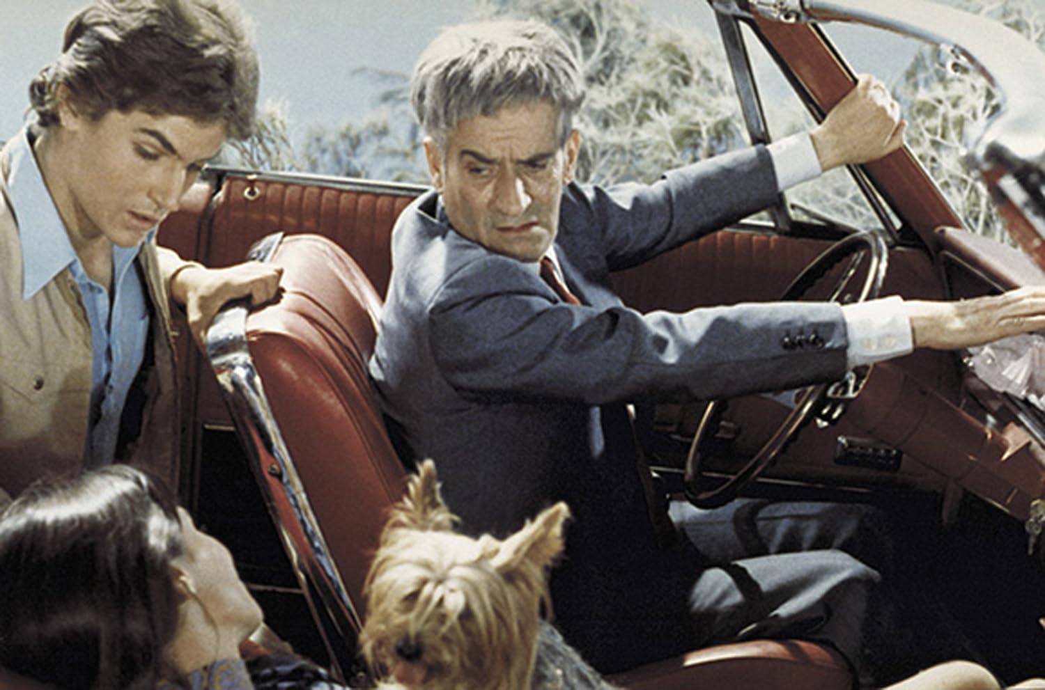 Louis de Funes - Die Balduin Collection