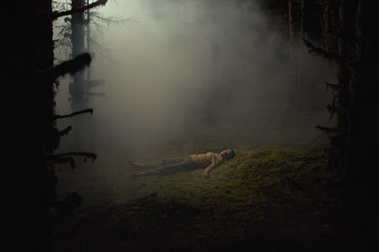 Daydreams