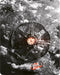 The Wandering Earth II   (English audio)