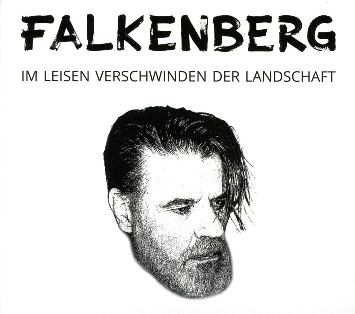 Im Leisen Verschwinden der Landschaft
