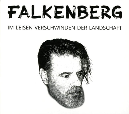 Im Leisen Verschwinden der Landschaft