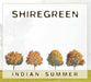 INDIAN SUMMER-SHIREGREEN