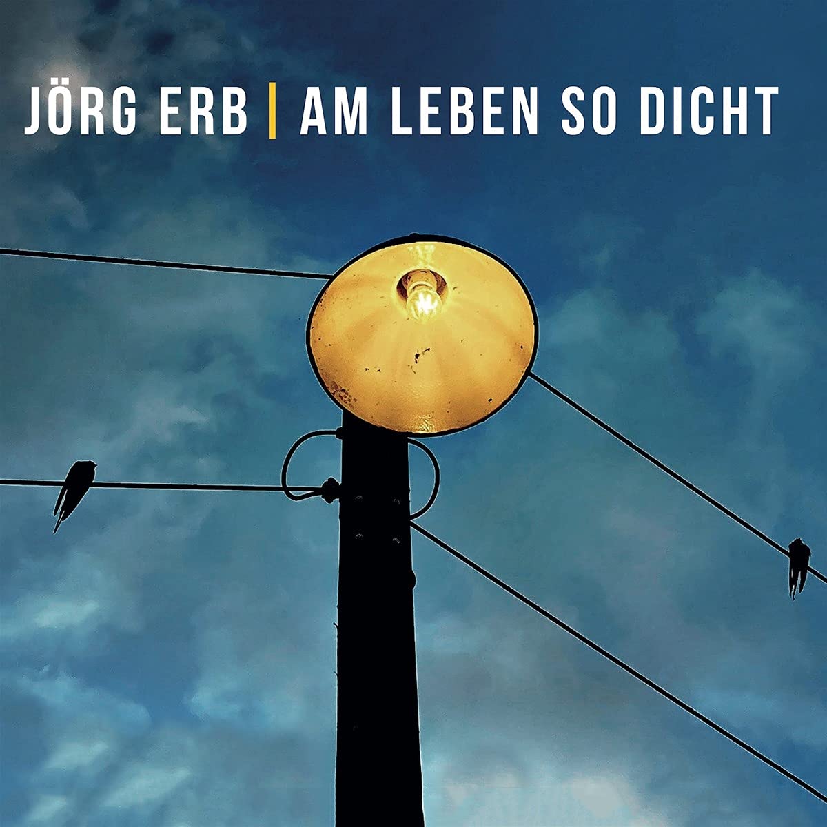 Am Leben so Dicht