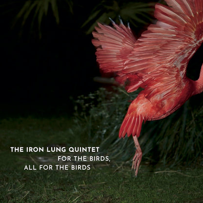 For the Birds, All for the Birds
