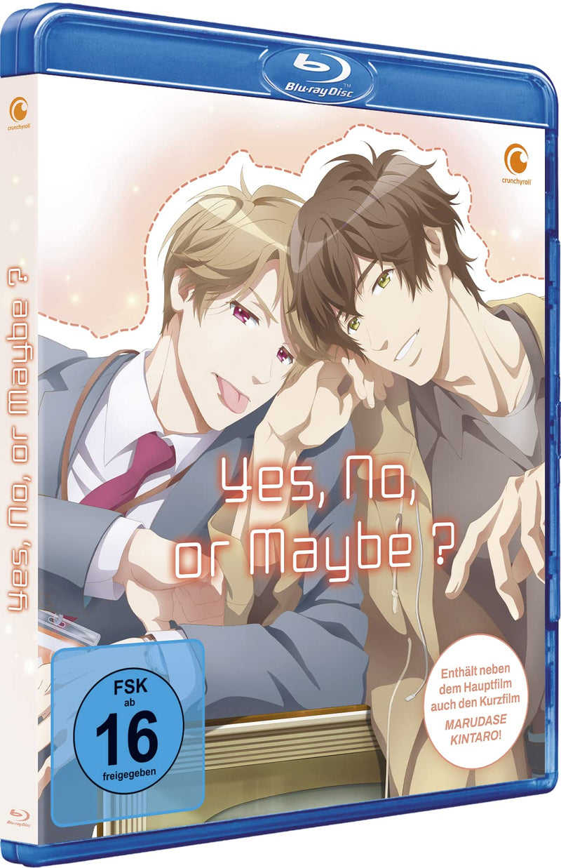 Yes, No, or Maybe? - The Movie -