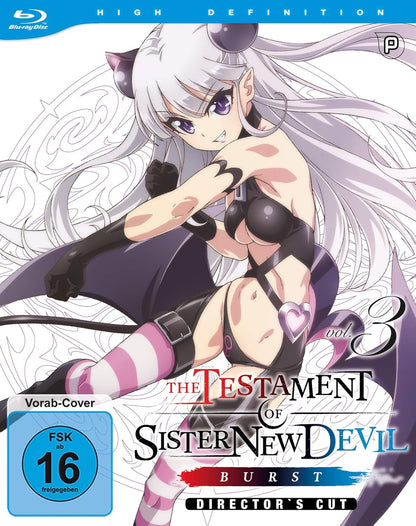 The Testament of Sister New Devil BURST - St.2