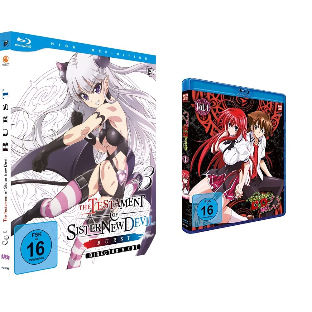 The Testament of Sister New Devil BURST - St.2