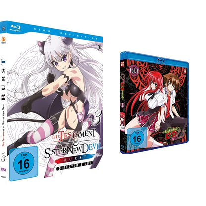 The Testament of Sister New Devil BURST - St.2