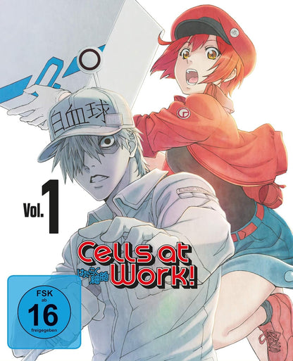 Cells at Work! - Vol. 1 -  Mediabook