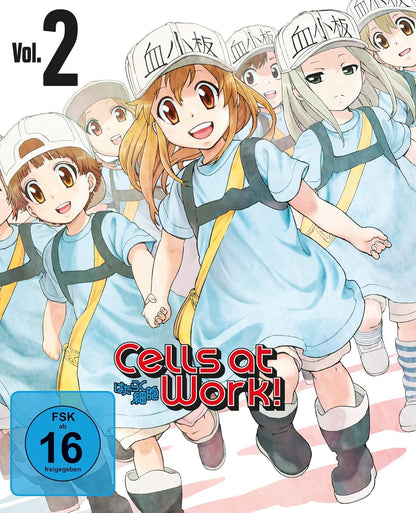 Cells at Work! - Vol. 2 -  Mediabook