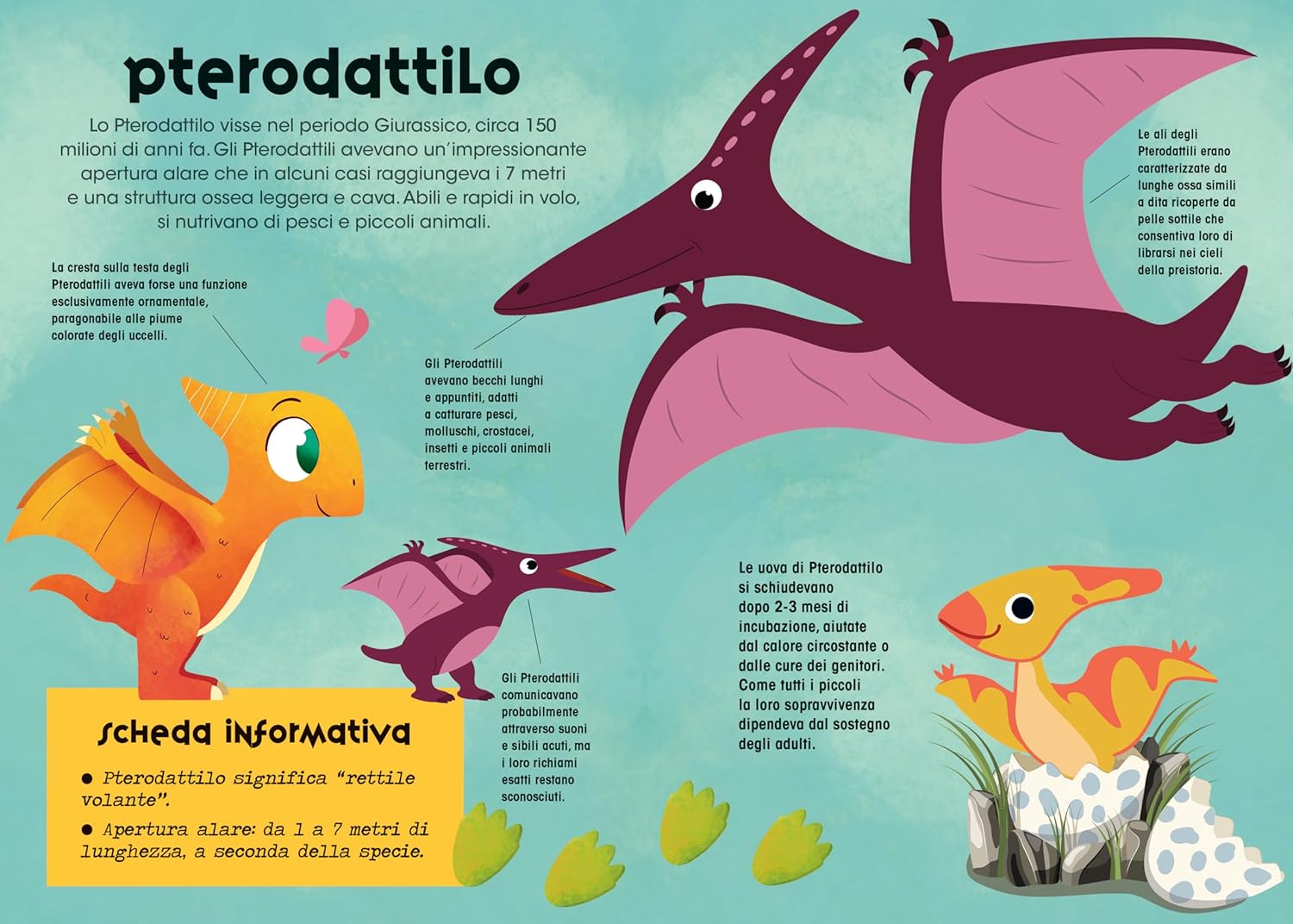 Baby dinosauri. Costruisci in 3D. Ediz. a colori. Cofanetto illustrato