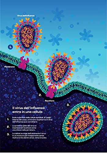 Immune. Viaggio nel misterioso sistema che ci tiene in vita