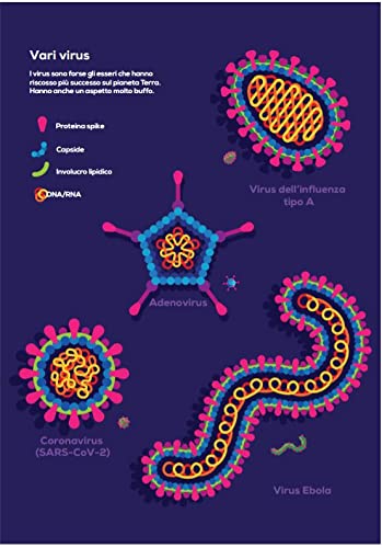 Immune. Viaggio nel misterioso sistema che ci tiene in vita