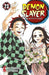 Demon slayer. Kimetsu no yaiba (Vol. 23)