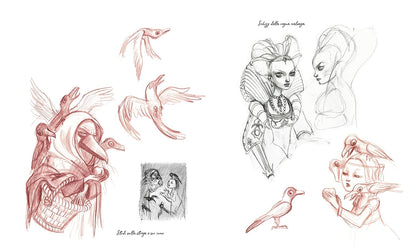 Jacob Grimm / Wilhelm Grimm / Benjamin Lacombe - Biancaneve. Ediz. A Colori