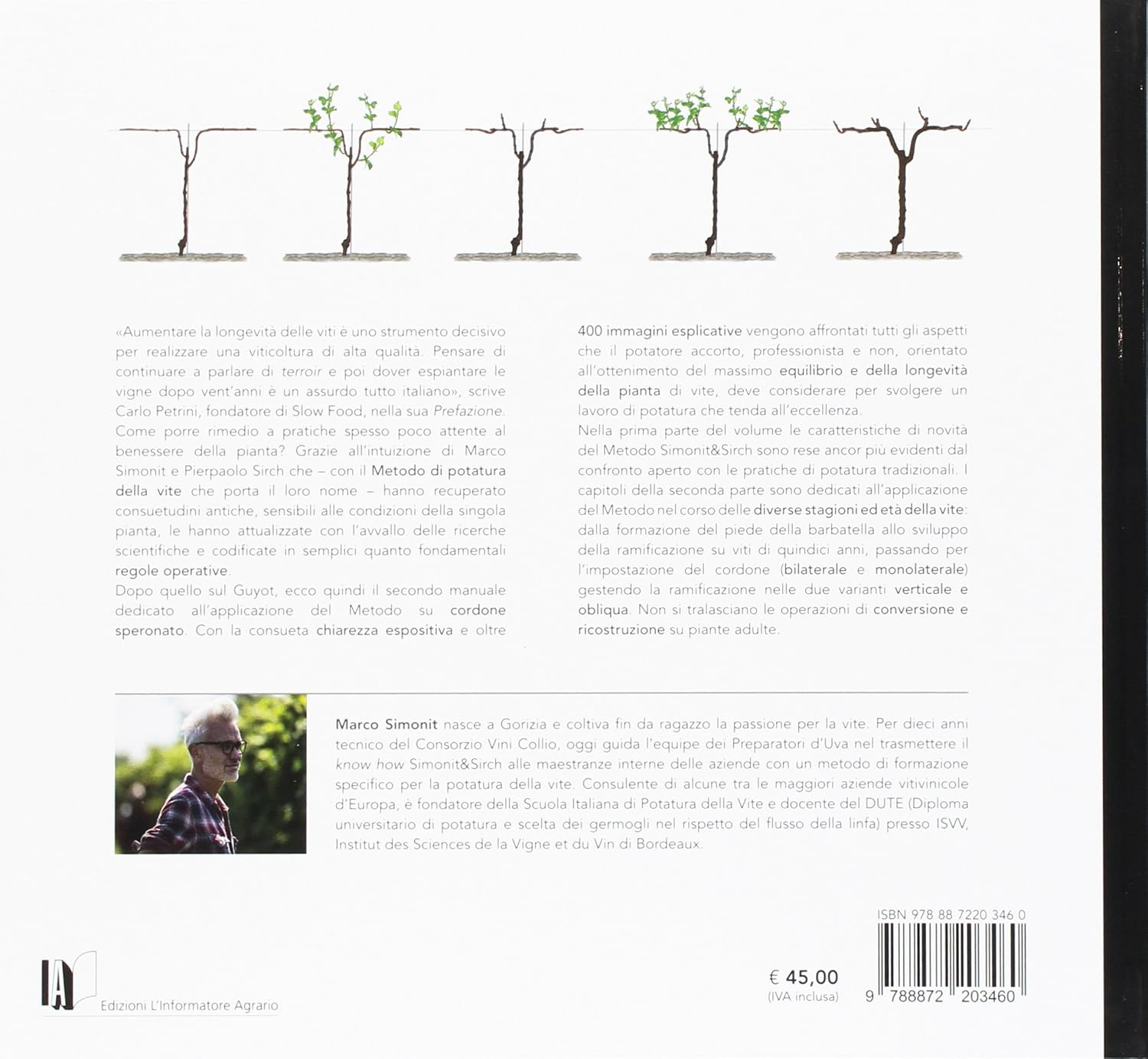 Manuale di potatura della vite. Cordone speronato
