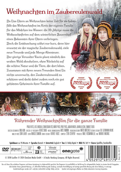 Weihnachten Im Zaubereulenwald