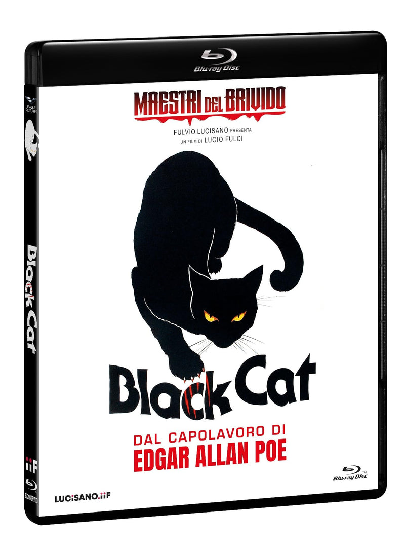 Black Cat - Bd