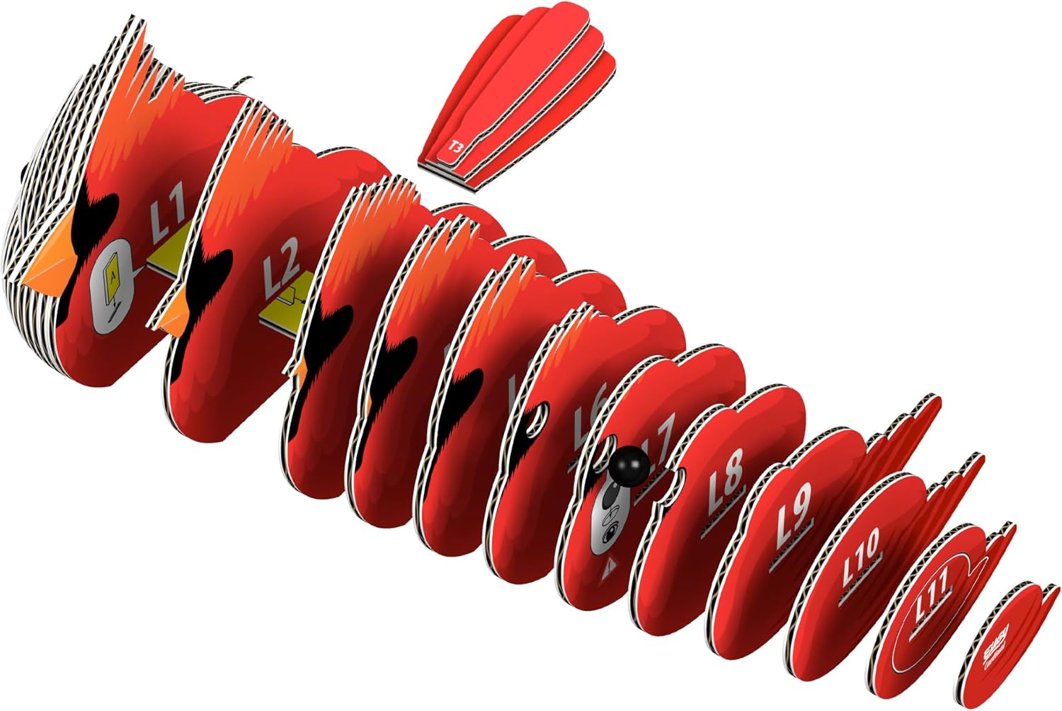 EUGY D5084 Cardinal 3D Model Craft Kit