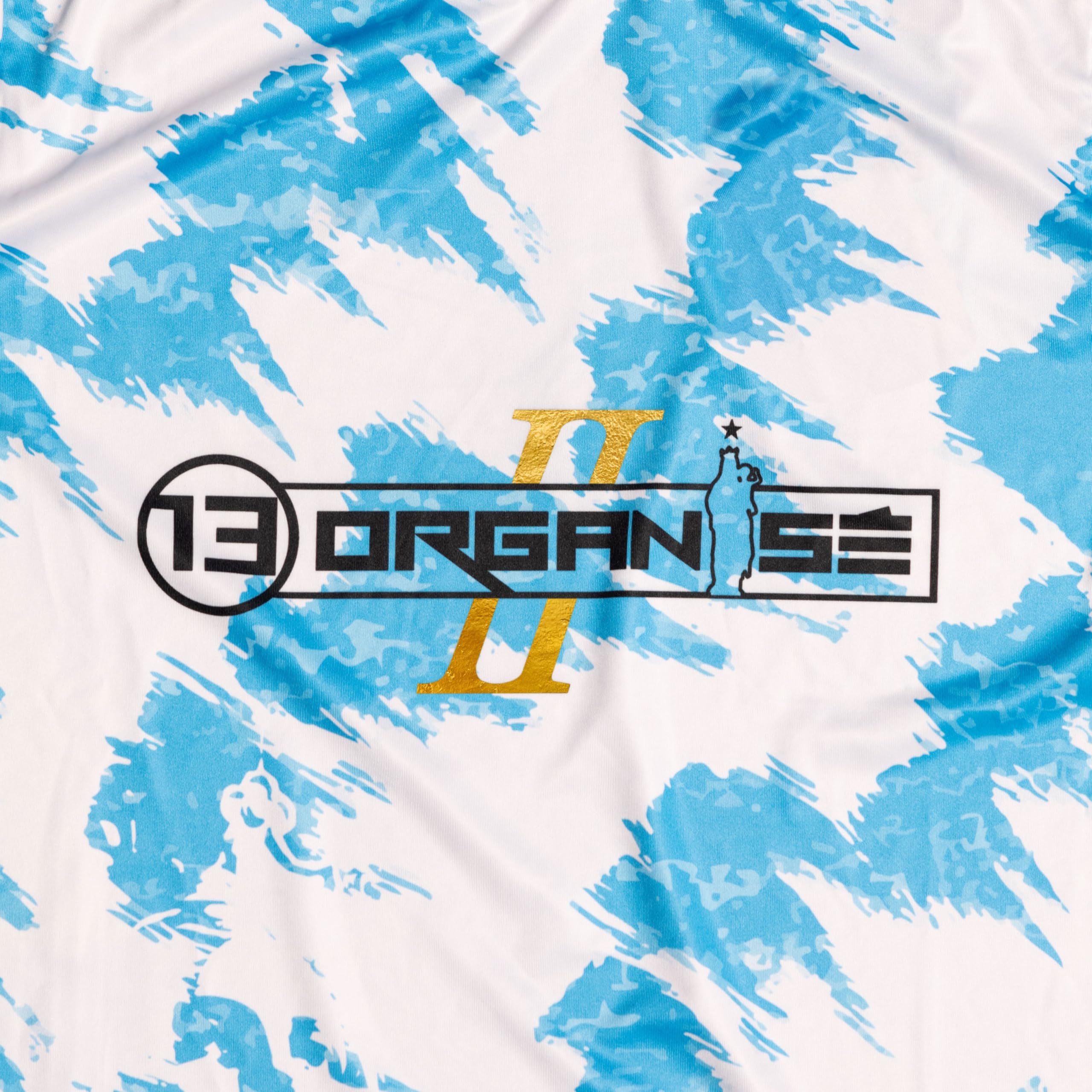 13 Organise 2 / Various