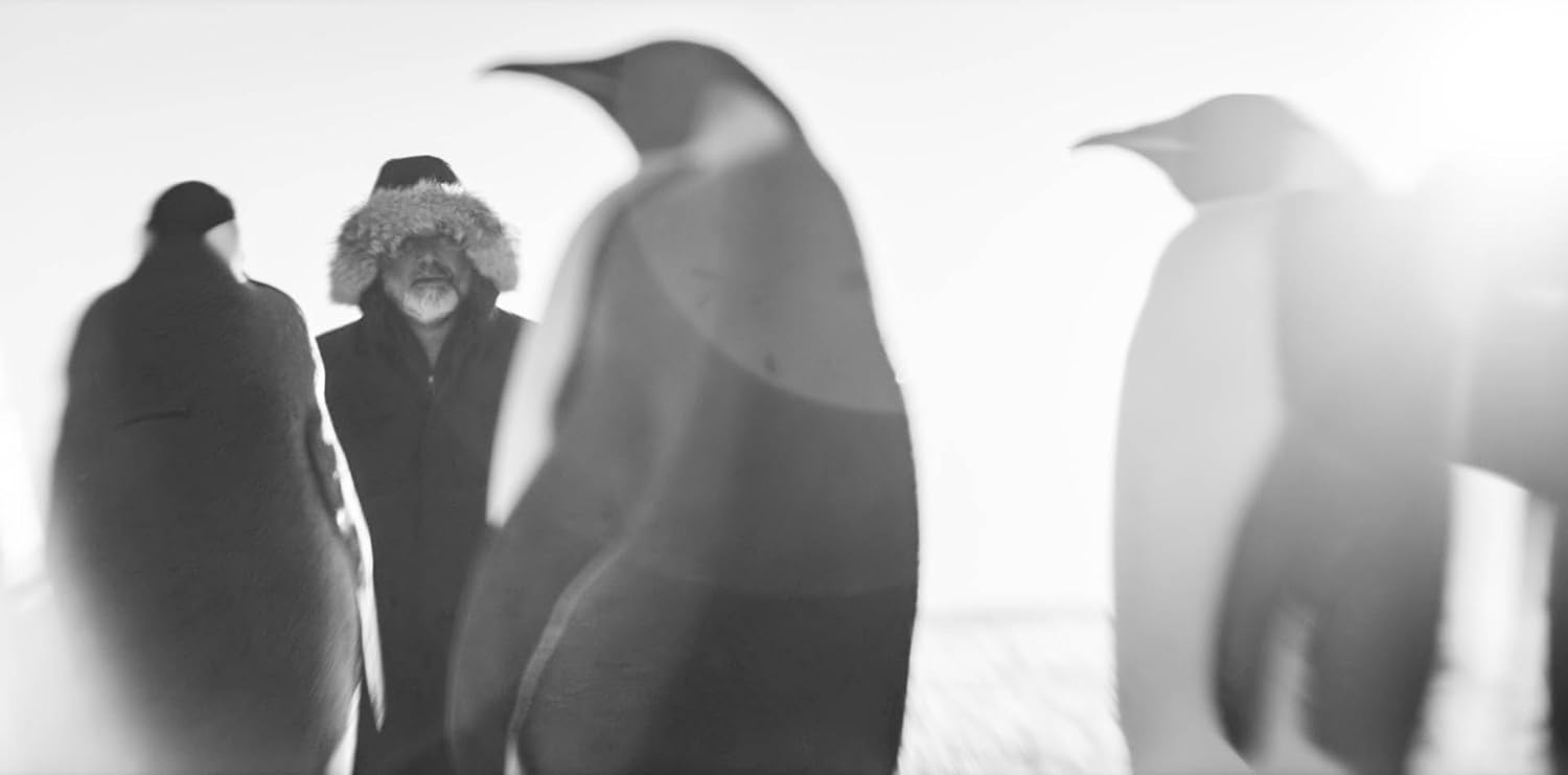 JACQUET, LUC - RUCKKEHR ZUM LAND DER PINGUINE