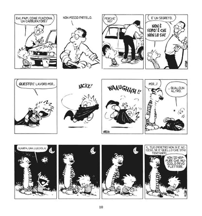 Yukon, arriviamo! Calvin & Hobbes