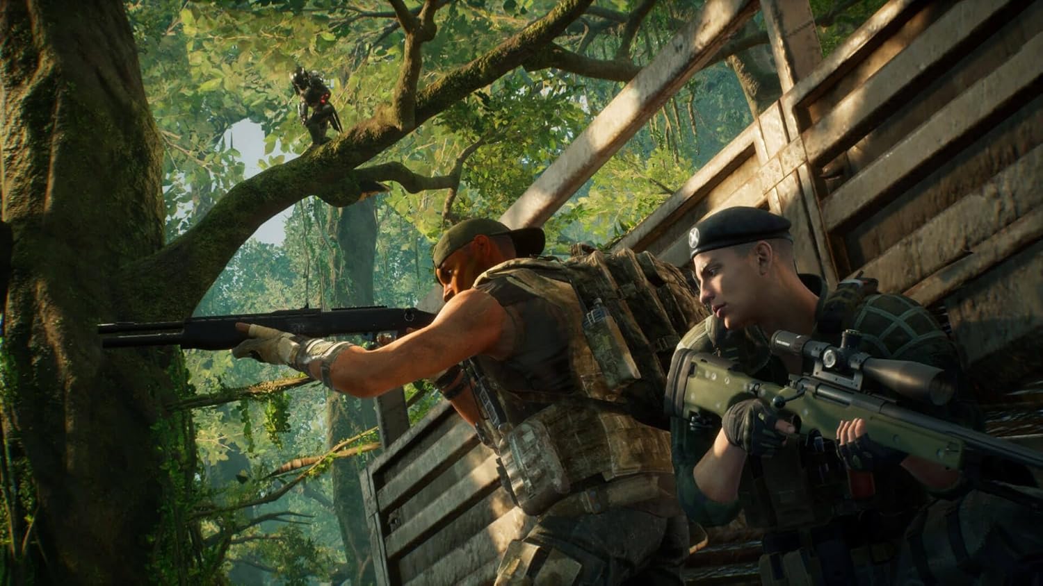 Predator Hunting Grounds