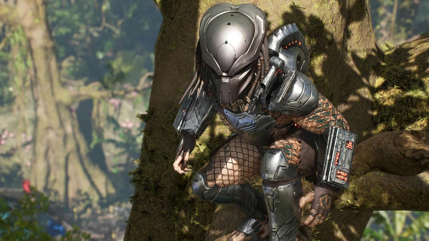 Predator Hunting Grounds