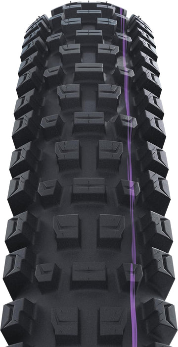 Schwalbe Albert Radial Gravity Pro Folding TLE