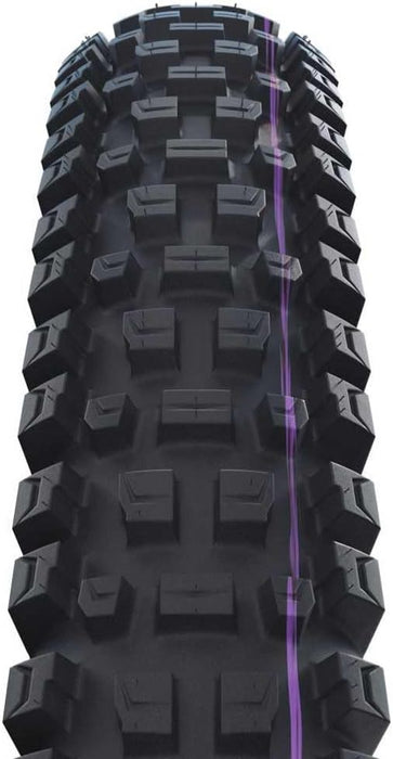 Schwalbe Albert Radial Gravity Pro Folding TLE