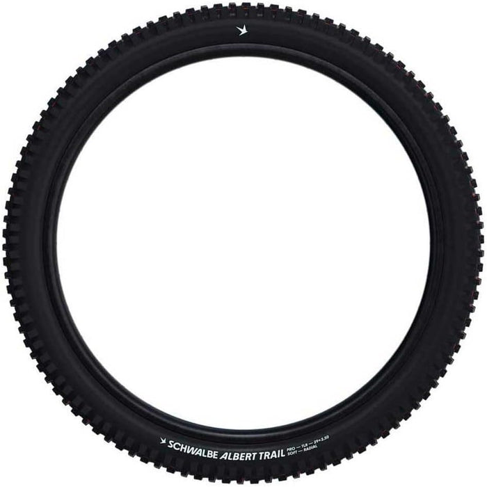 Schwalbe Albert Radial Gravity Pro Folding TLE