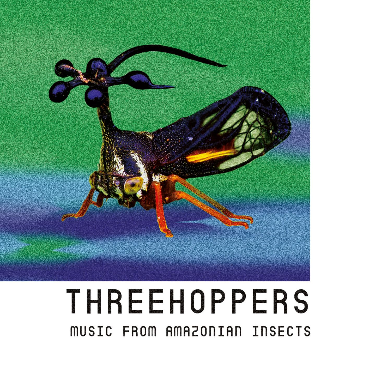 Threehoppers