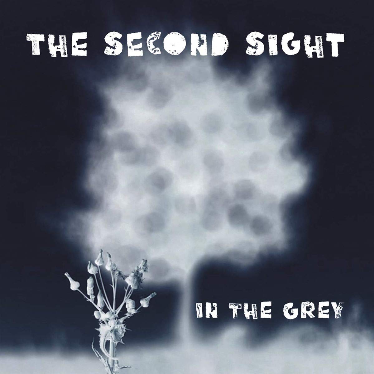 In the Grey