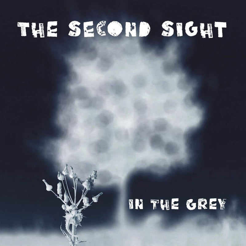 In the Grey